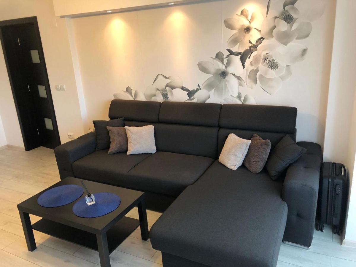 Apartament modern Târgoviște în regim hotelier Exterior foto