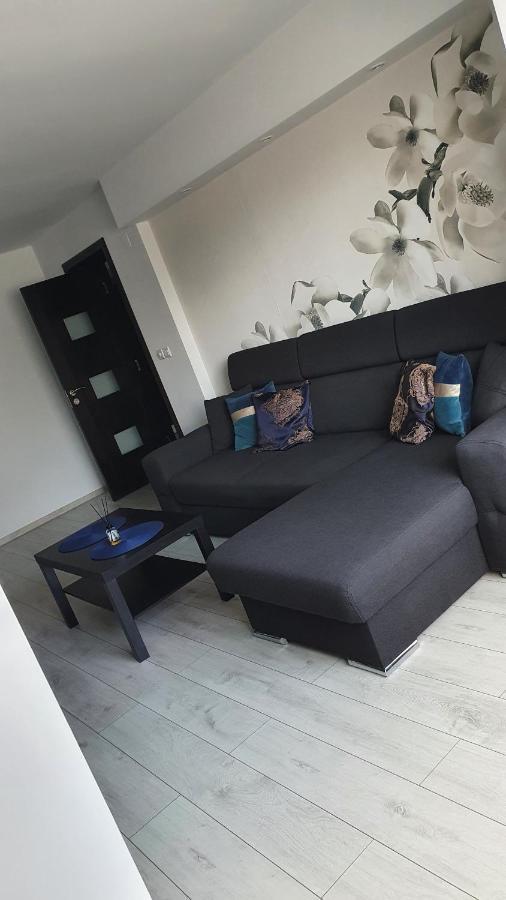 Apartament modern Târgoviște în regim hotelier Exterior foto
